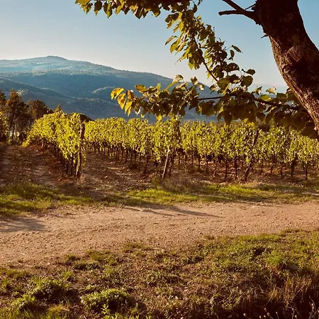 Tenuta San Vito In Fior Di Selva Montelupo Fiorentino Esterno foto