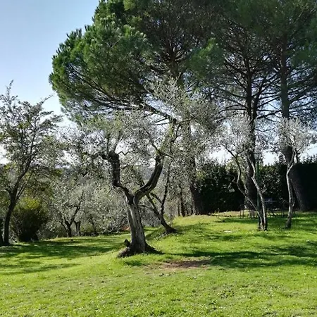 Tenuta San Vito In Fior Di Selva Montelupo Fiorentino Esterno foto