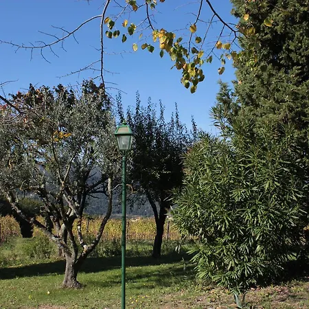 Tenuta San Vito In Fior Di Selva Montelupo Fiorentino Esterno foto