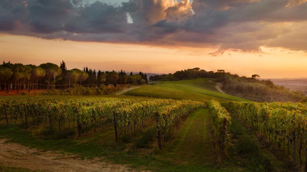 Tenuta San Vito In Fior Di Selva Séjour à la ferme *