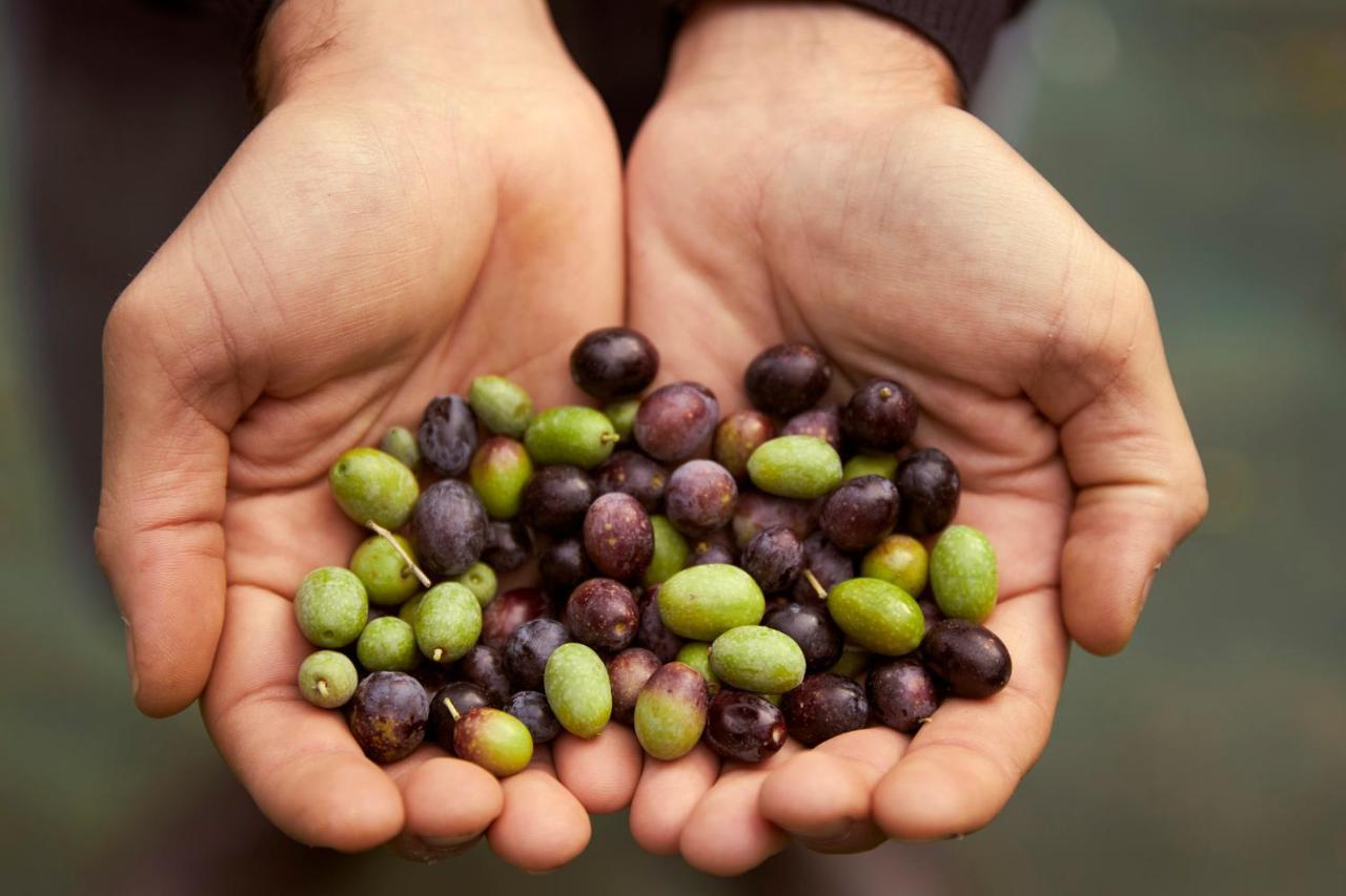 Tenuta San Vito In Fior Di Selva Séjour à la ferme