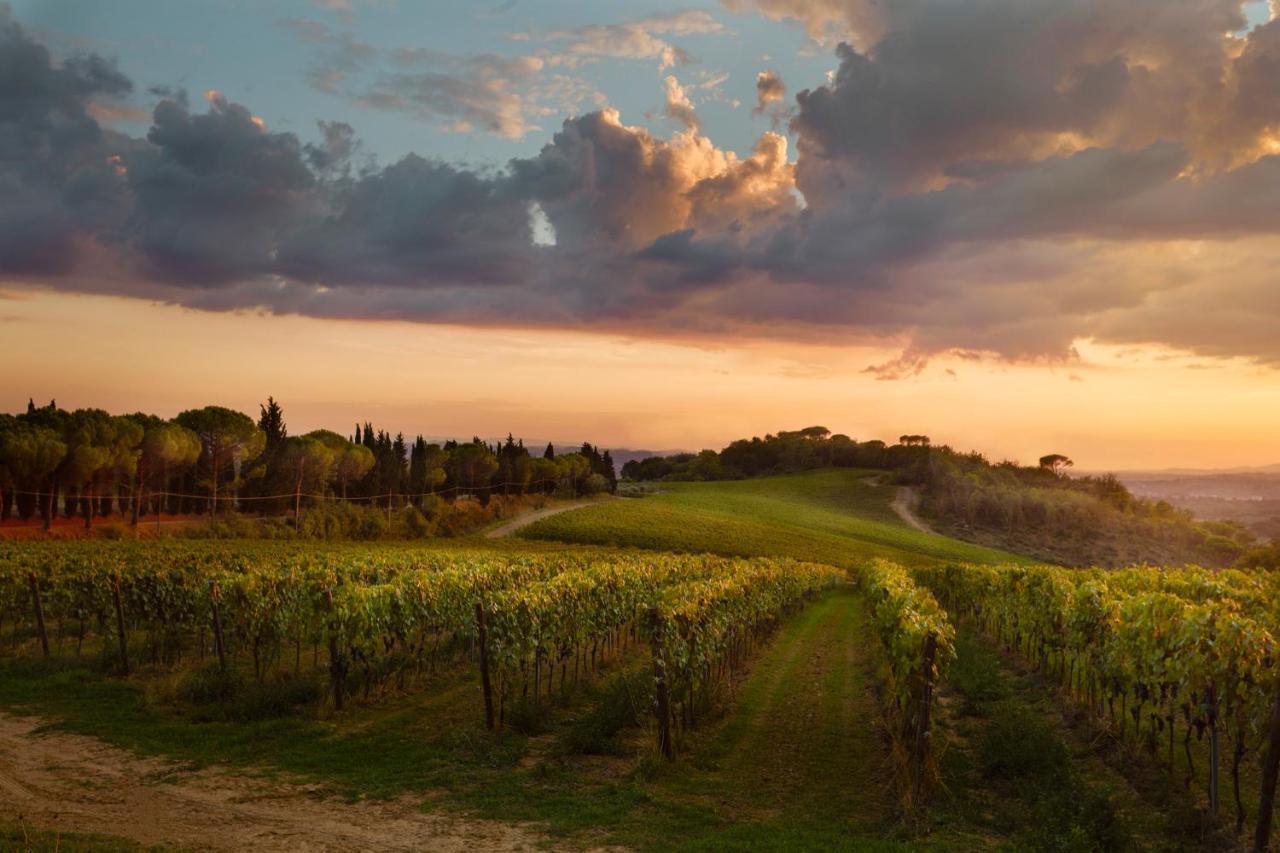 Tenuta San Vito In Fior Di Selva Séjour à la ferme Montelupo Fiorentino
