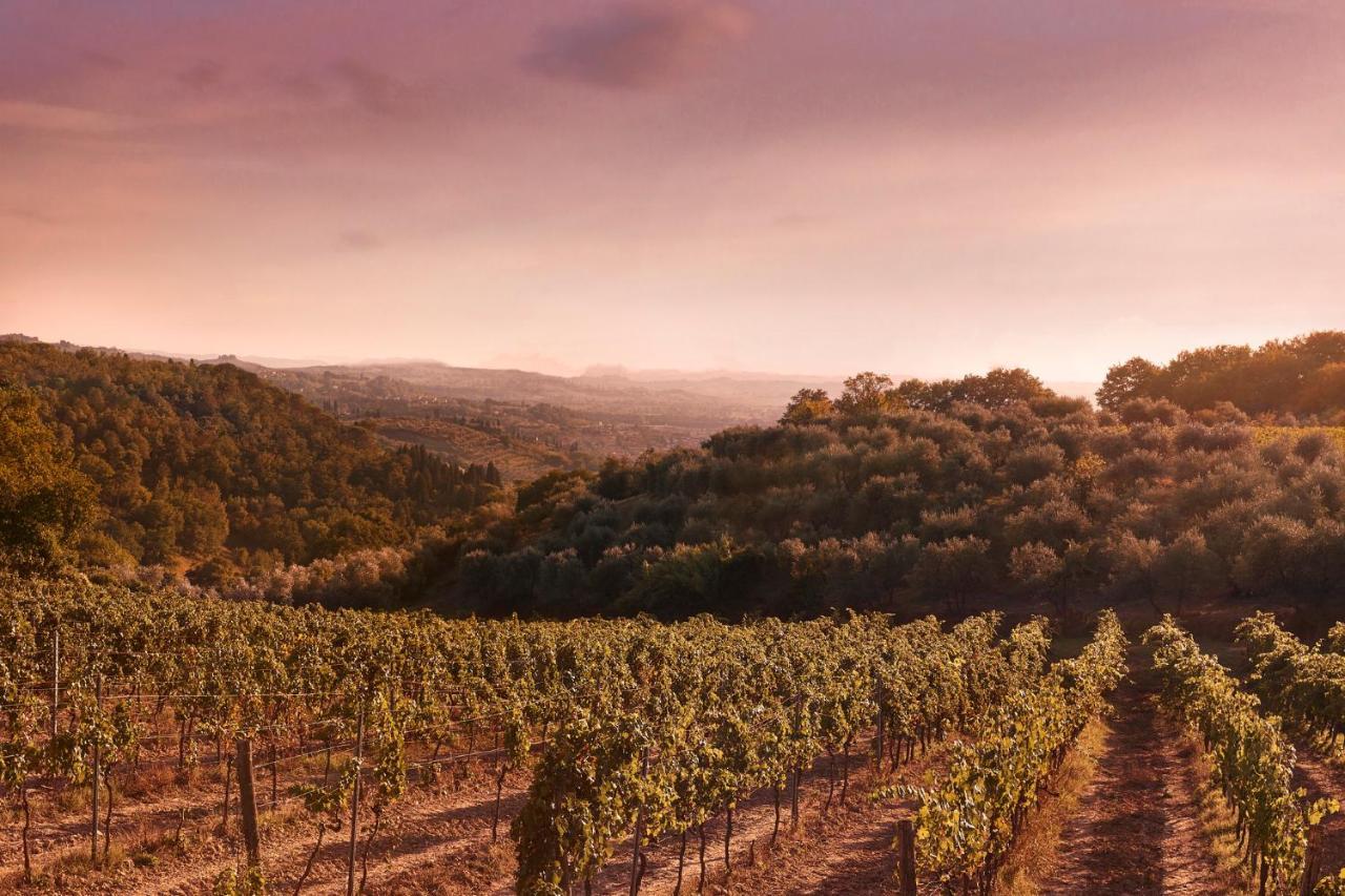 Tenuta San Vito In Fior Di Selva Séjour à la ferme *