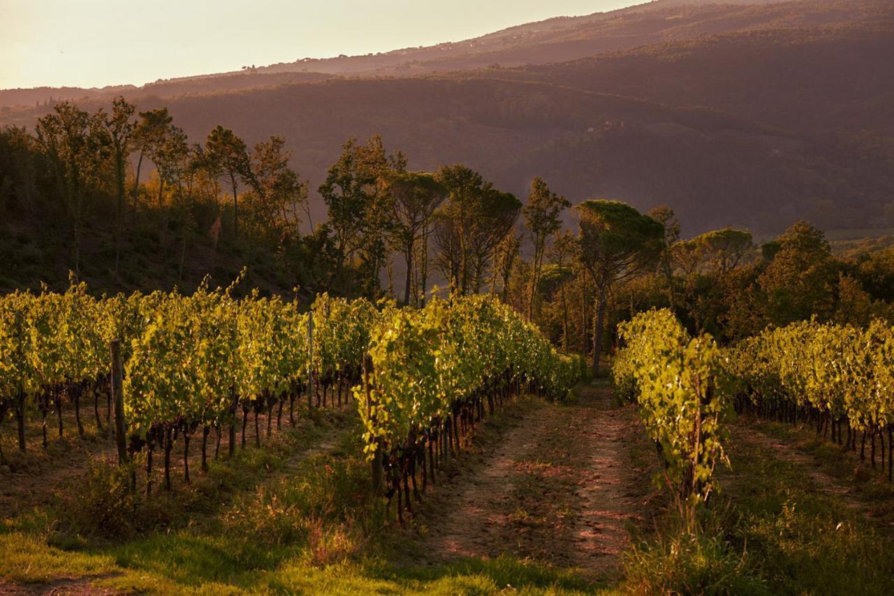 Tenuta San Vito In Fior Di Selva Séjour à la ferme *