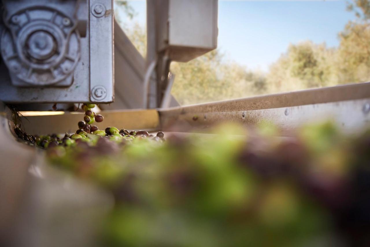 Tenuta San Vito In Fior Di Selva Séjour à la ferme